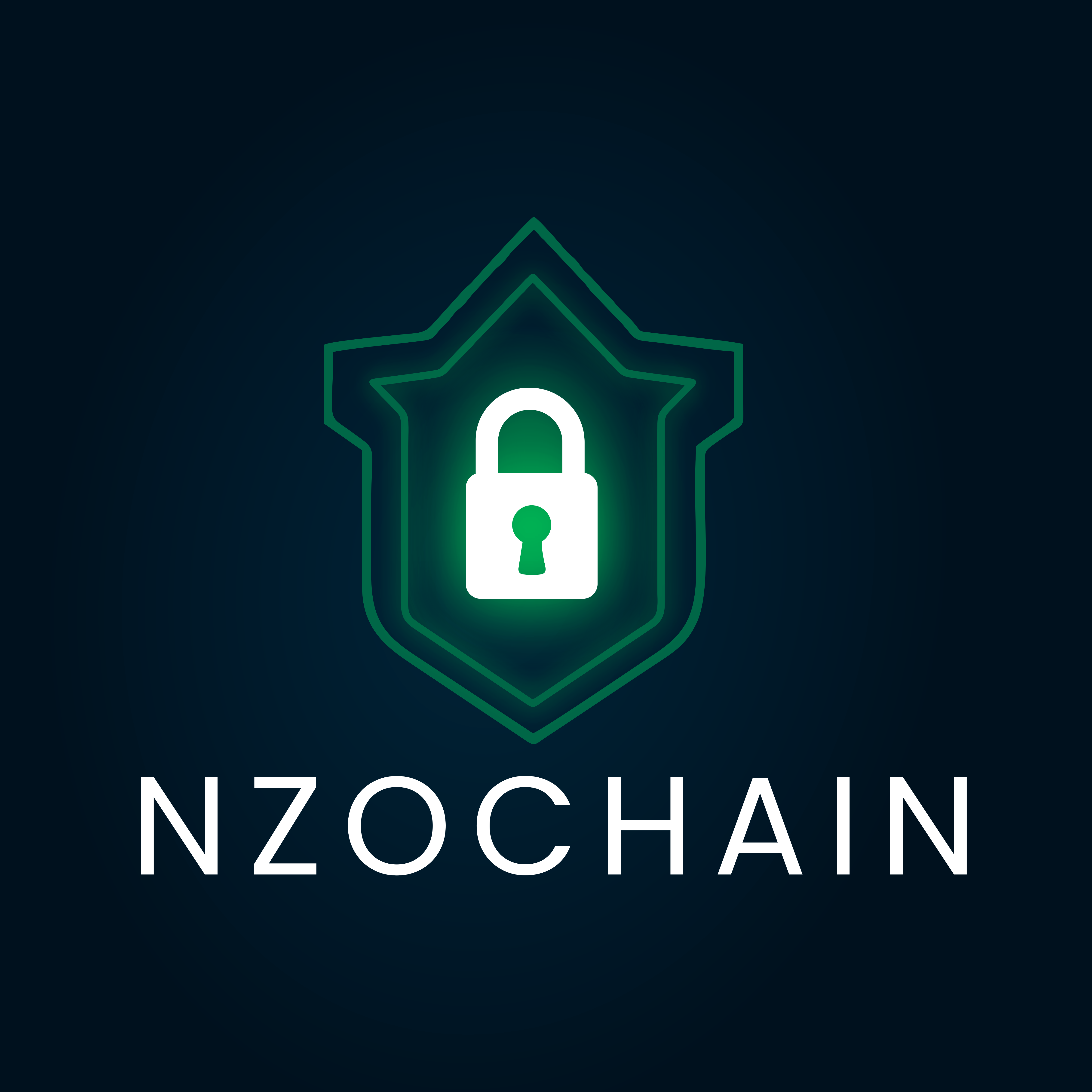 NzoChain logo